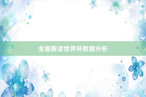 全面解读世界杯数据分析